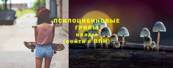 эйфоретик Пролетарск