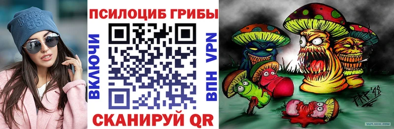 Галлюциногенные грибы мухоморы Павловск