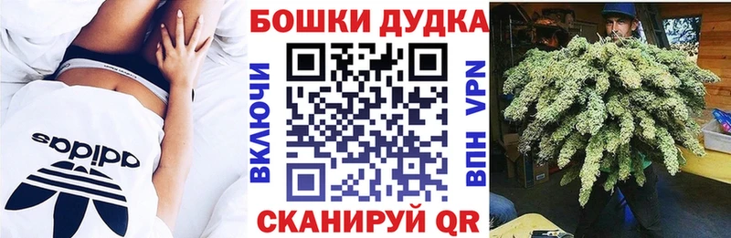 кракен как войти  Павловск  Шишки марихуана план 